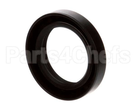 X10105 Globe Oil Seal