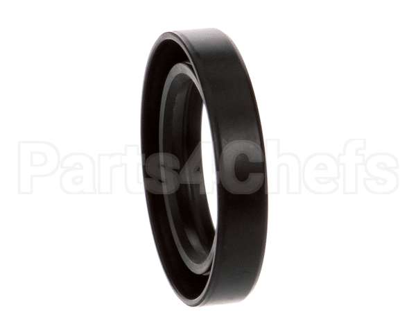 X10105 Globe Oil Seal