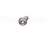 X10134B Globe Screw