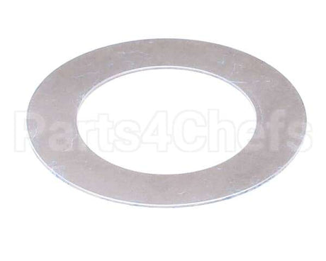 X30018-1 Globe Thrust Washer
