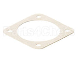 X30059-1 Globe Gasket (Gear Shift)