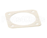 X30059-1 Globe Gasket (Gear Shift)