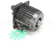 X30068P Globe Motor Sp30P (1.5Hp) 220/60/1
