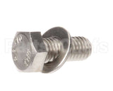 X30101 Globe Flat Washer/Screw Assembly