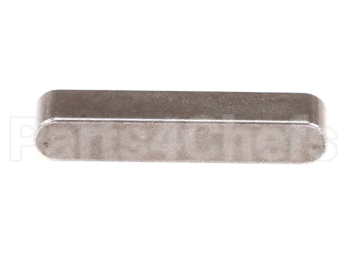 X30131 Globe Level Key