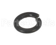 X30198 Globe Washer