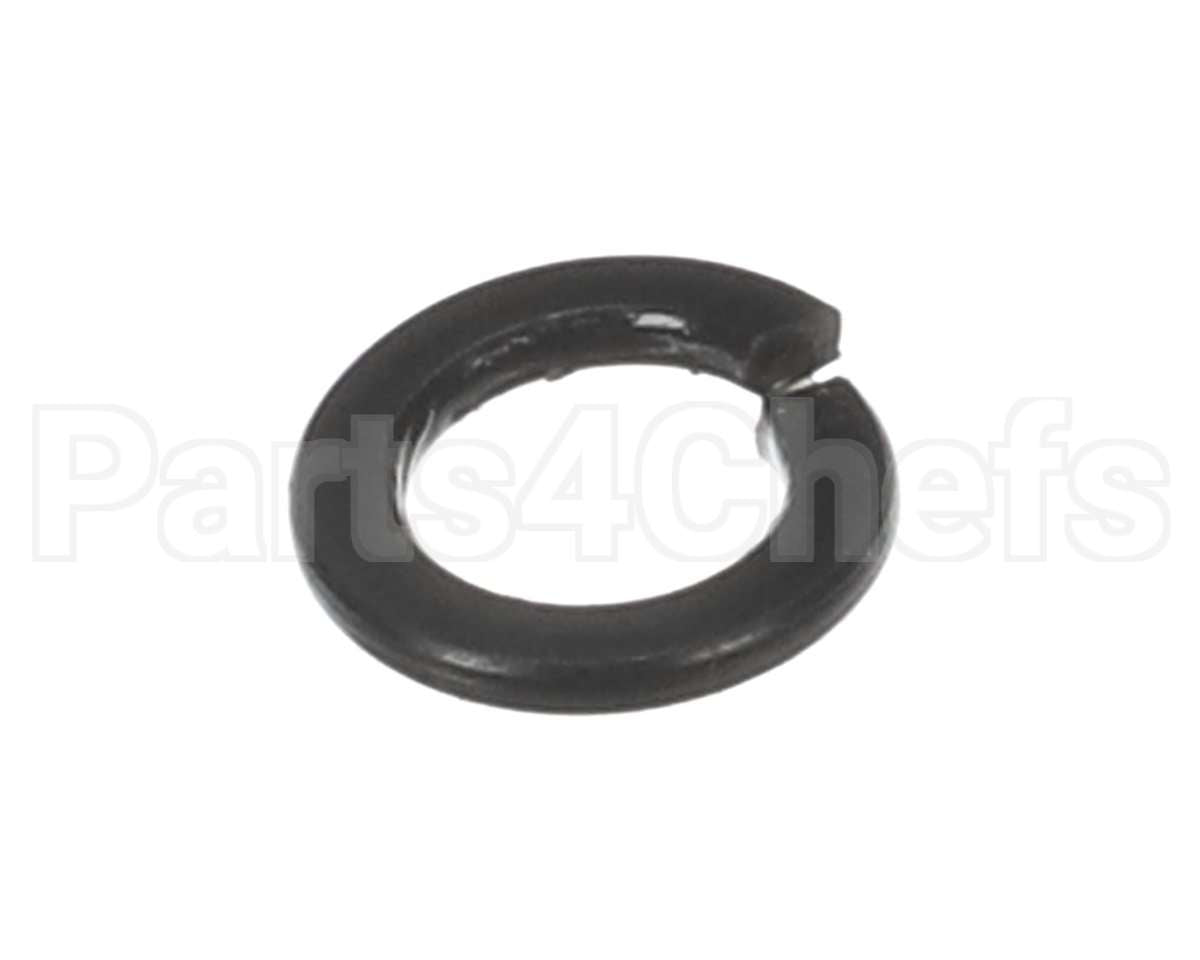 X30198 Globe Washer