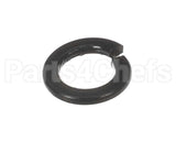 X30198 Globe Washer