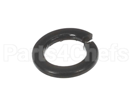 X30198 Globe Washer