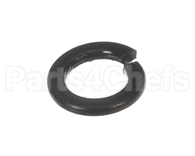 X30198 Globe Washer