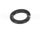 X30198 Globe Washer