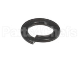 X30198 Globe Washer
