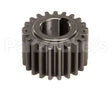 X40021 Globe Pinion Beater (21 Tooth)