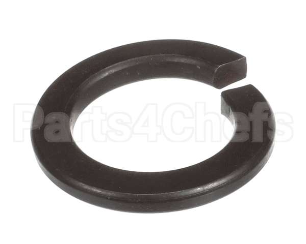 X40111A Globe Washer
