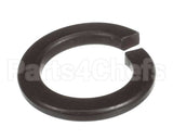 X40111A Globe Washer