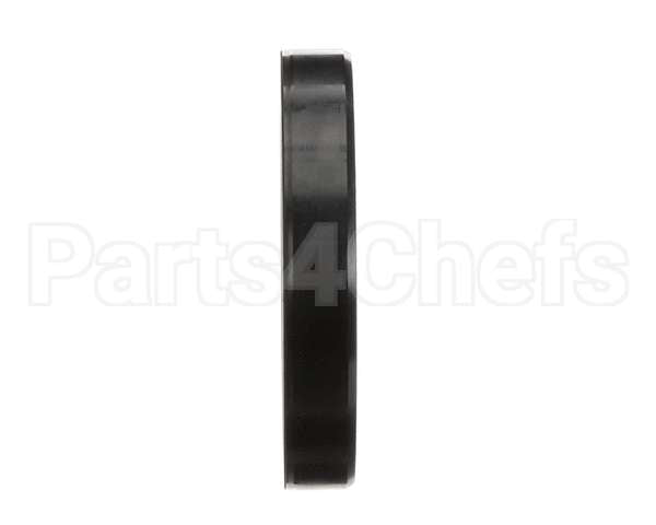 X40128 Globe Oil Seal