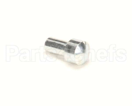 X5A09 Globe Plunger