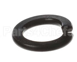 X80B02 Globe Spring Washer