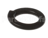 X80B02 Globe Spring Washer