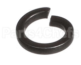 X80F24-1 Globe #10 Lock Washer