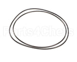 X80G05 Globe O-Ring