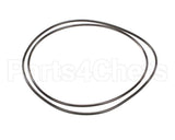 X80G05 Globe O-Ring