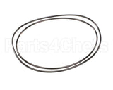 X80G05 Globe O-Ring