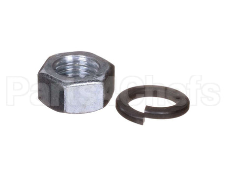 X80H49 Globe Washer