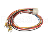 X80J24 Globe Connector