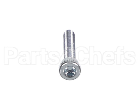 X80J36 Globe Screw
