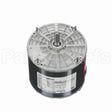 X909 Marathon Motor