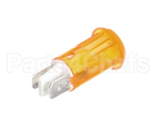XAA0011 Anvil America Pilot Light 110V