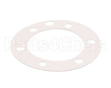 XP1011 Globe Fiber Gasket (Xvga/Xvsa)