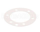 XP1011 Globe Fiber Gasket (Xvga/Xvsa)