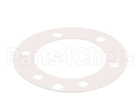 XP1011 Globe Fiber Gasket (Xvga/Xvsa)