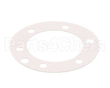 XP1011 Globe Fiber Gasket (Xvga/Xvsa)