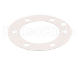 XP1011 Globe Fiber Gasket (Xvga/Xvsa)