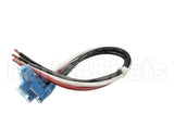 XR01 Food Warming Wiring Harness