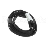 XS900.32 Maxx Cold Temp Sensor
