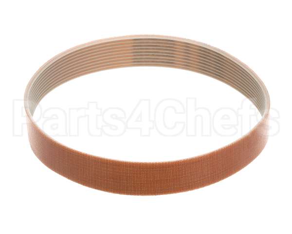 XSSL5006 Vollrath Belt