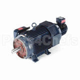 Y395 Marathon Variable Speed Motor