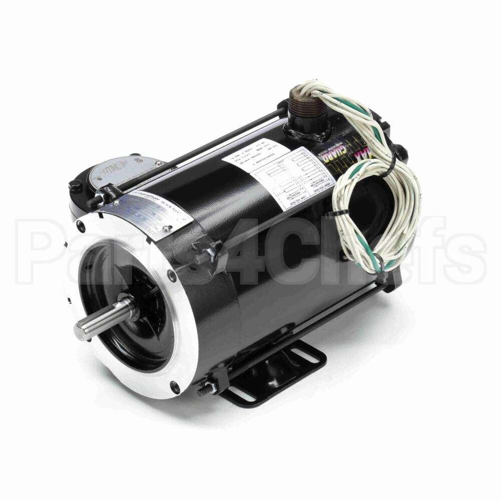 Y603 Marathon Variable Speed Motor