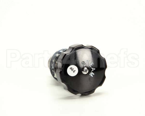 Z055279 Groen Valve Globe 3/8 Npt