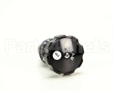Z055279 Groen Valve Globe 3/8 Npt