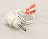Z088254 Groen Igniter Norton Model