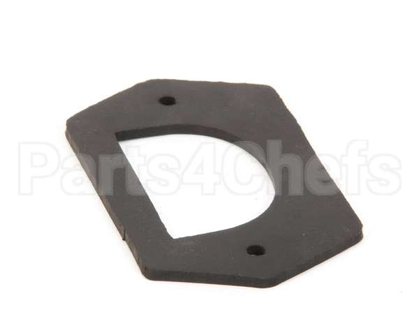 Z099250 Groen Gasket, Steam-In Manifold