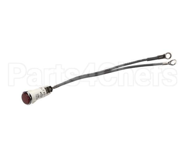 Z1-301013 Star Pilot Light Assembly 240V