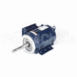 Z429 Marathon Close Coupled Pump Motor